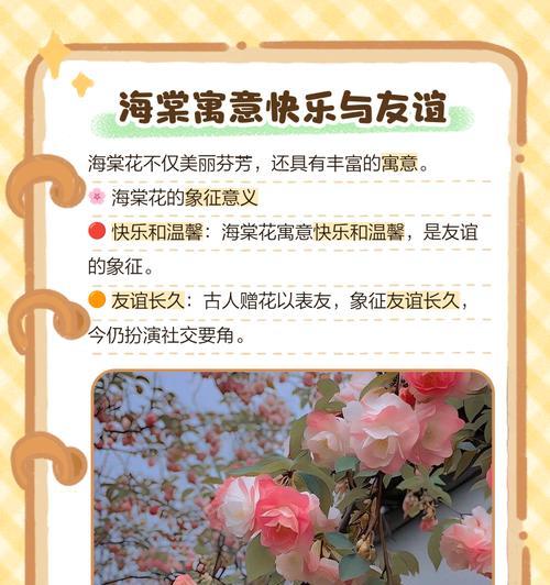 和前女友复合的花语有哪些？如何通过花语表达复合的愿望？