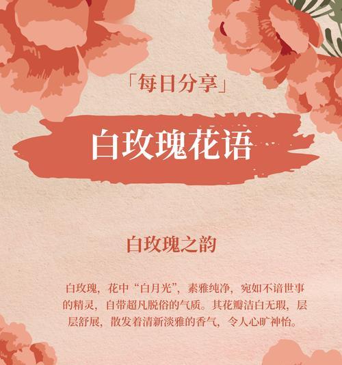 盘点十大花语是什么花？哪些花的花语最为人熟知？