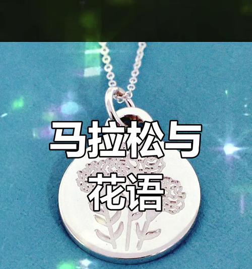 奇葩礼物背后隐藏的花语是什么？