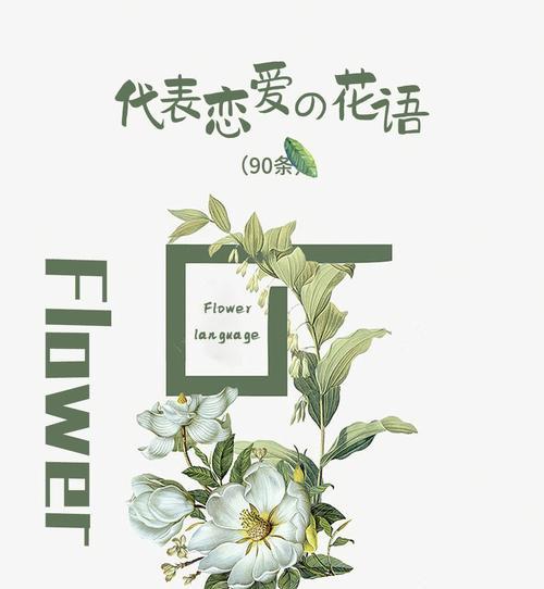 孤鸟配微笑花语代表什么含义？