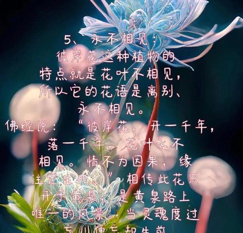 不管什么花语喜欢才是硬道理？花语真的重要吗？