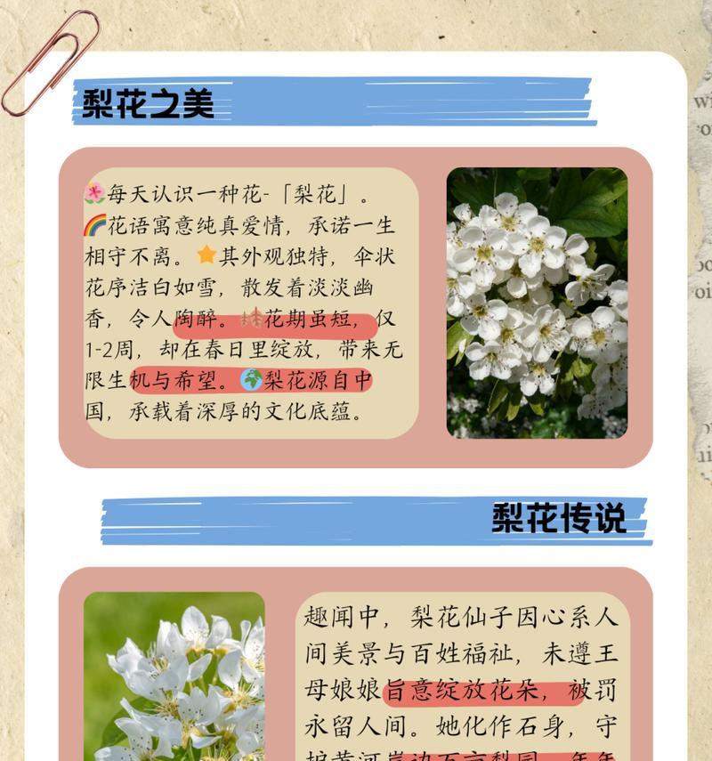 不管什么花语喜欢才是硬道理？花语真的重要吗？
