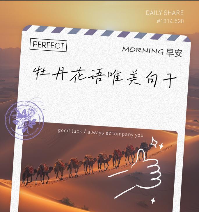 赞美京城时，哪种花的花语最为贴切？