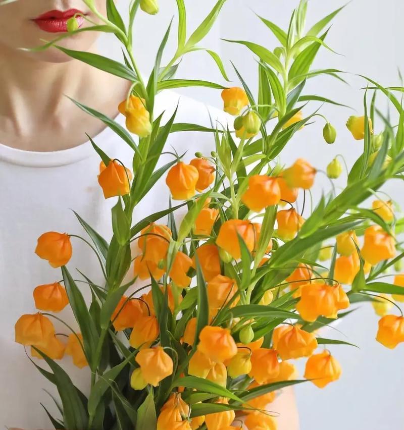 小南瓜花束的花语和寓意是什么？