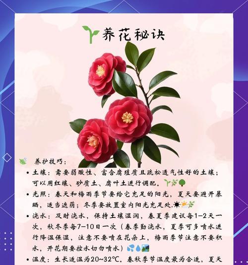 哪种花的花语代表永恒不变的爱情？