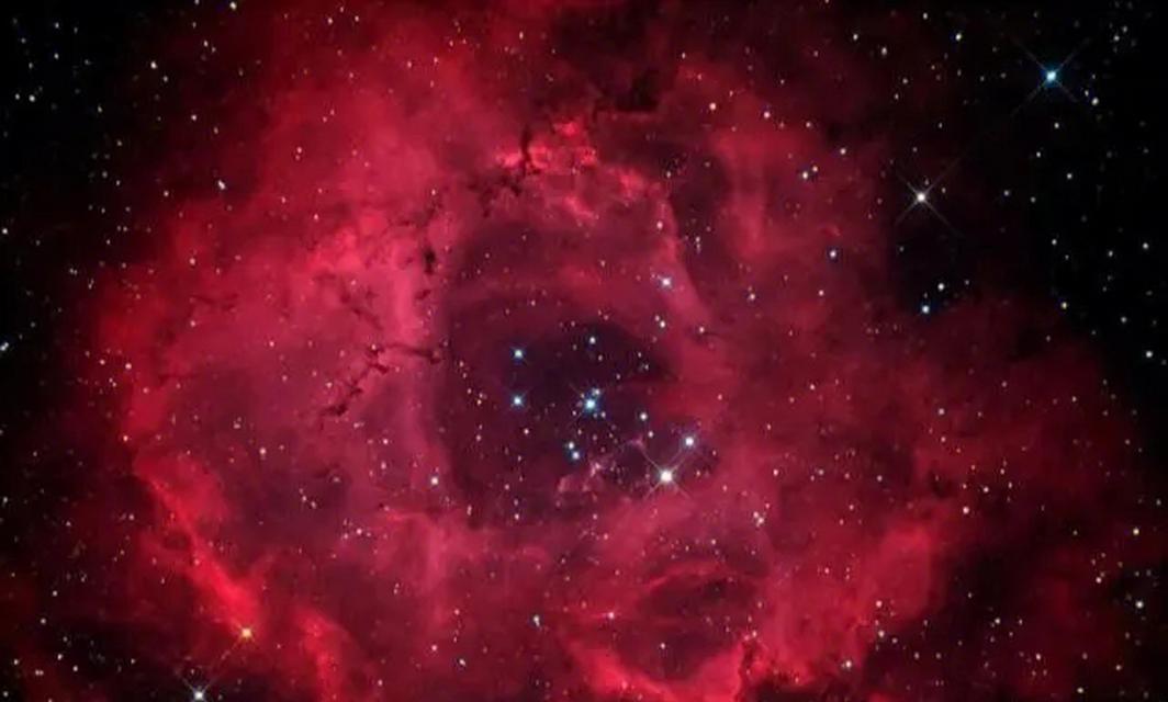 星空玫瑰代表了怎样的情感？
