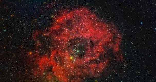 星空玫瑰代表了怎样的情感？