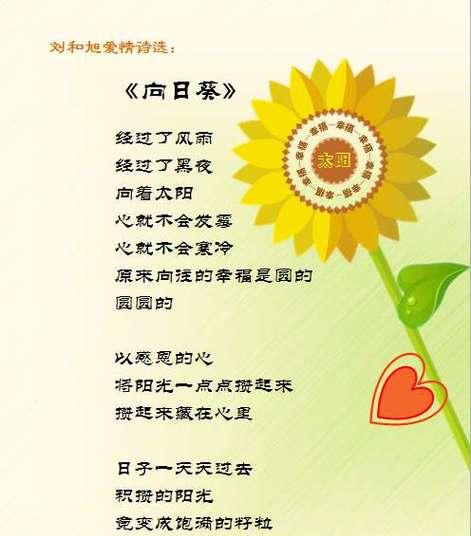 向日葵的花语8422代表了什么？