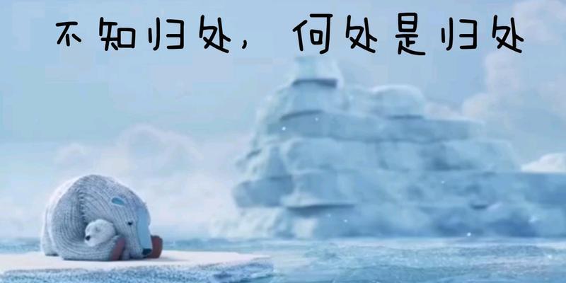 不知归处的花语含义是什么？