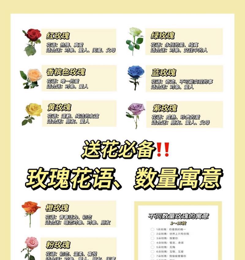 偏爱玫瑰代表了什么情感？花语中的深层含义是什么？