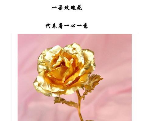金箔玫瑰花的寓意是什么？金箔玫瑰花象征着什么？