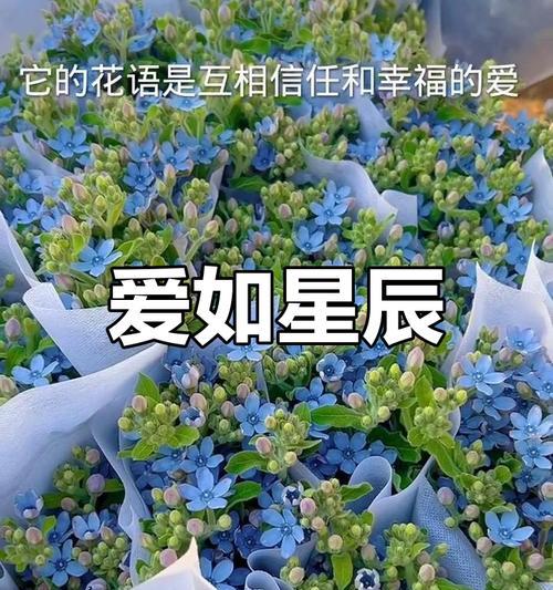 满天星辰颜色的花语有何含义？满天星辰颜色代表什么？