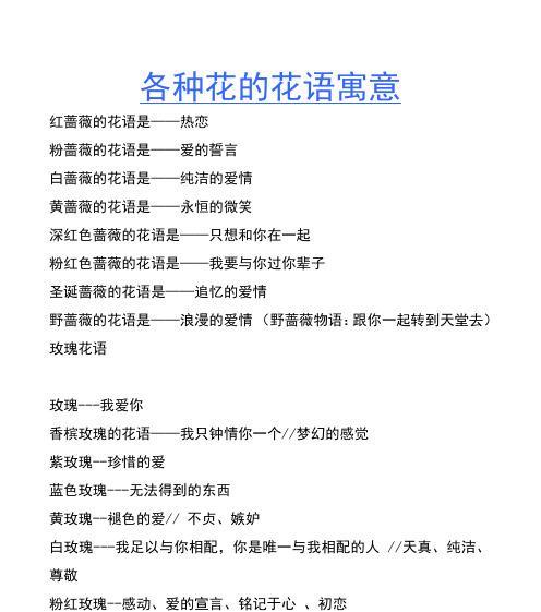 蝴蝶菊的花语寓意能否代表爱情？