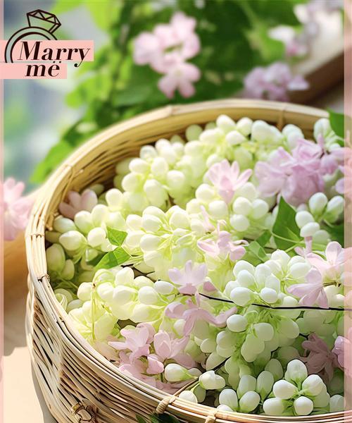 现世欢乐象征着哪种花？花语有何特别含义？