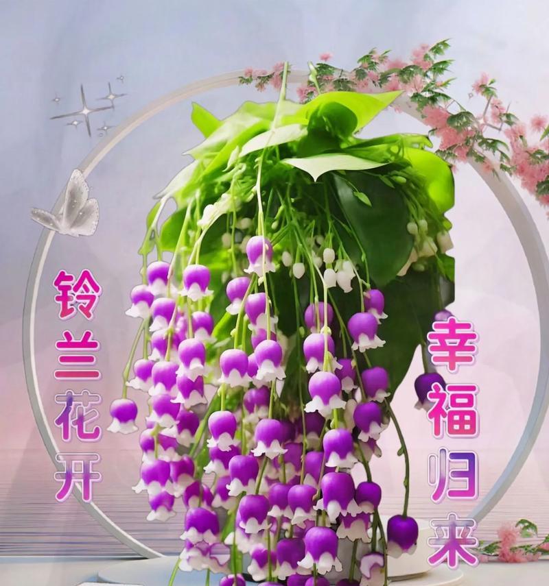 什么花语是幸运？哪种花的花语代表了好运和幸福？