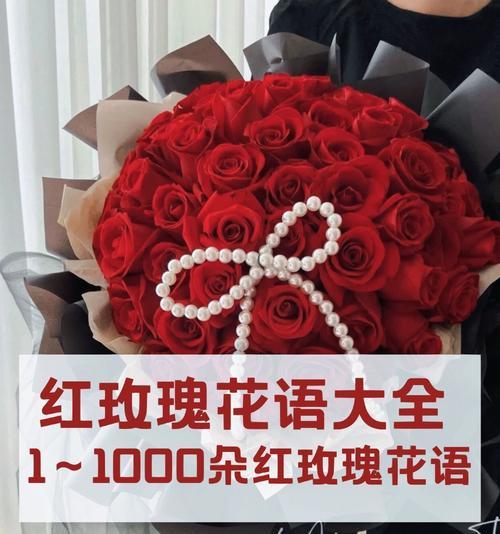香槟红玫瑰花语代表什么？
