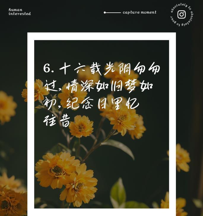 十六日的花语有何特别含义？