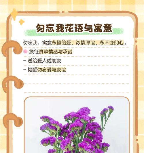 勿忘我的花语代表了什么？如何用勿忘我表达深情？