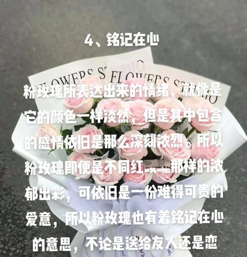 十六朵玫瑰花语有何特殊意义？