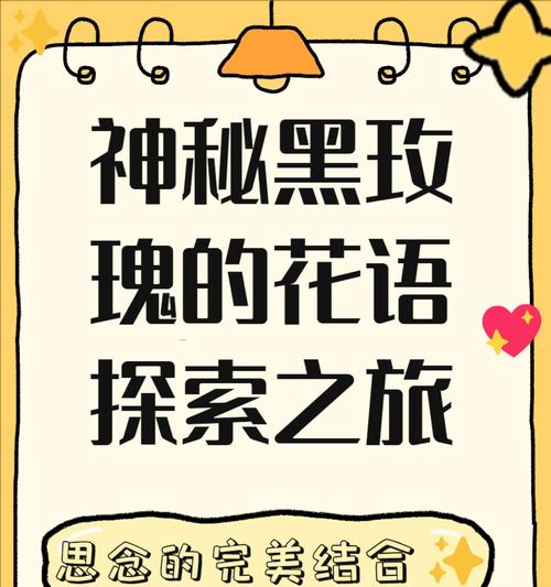 十六朵玫瑰花语有何特殊意义？