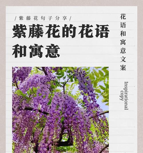 送给老婆的花写什么花语好？如何用花语表达爱意？