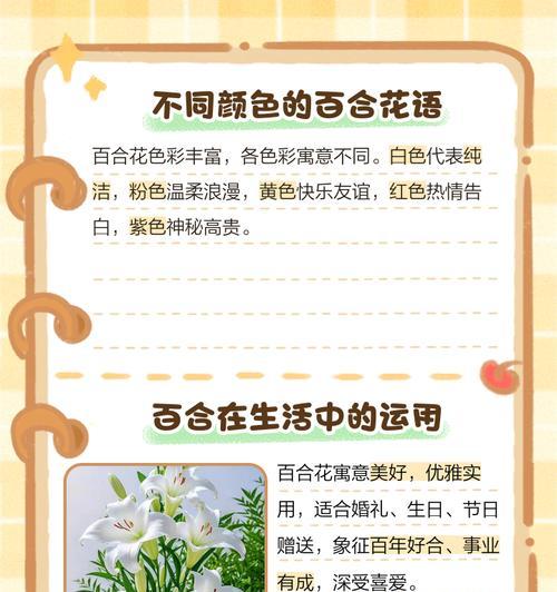 白百合花的花语能否代表纯洁的爱情？