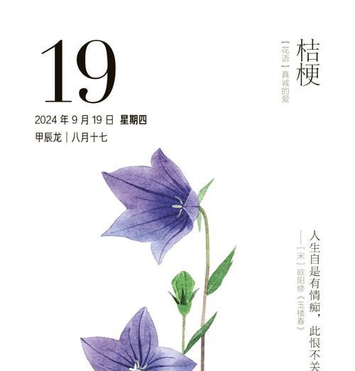 纯白的桔梗花语是什么呢？它有什么特别的含义？