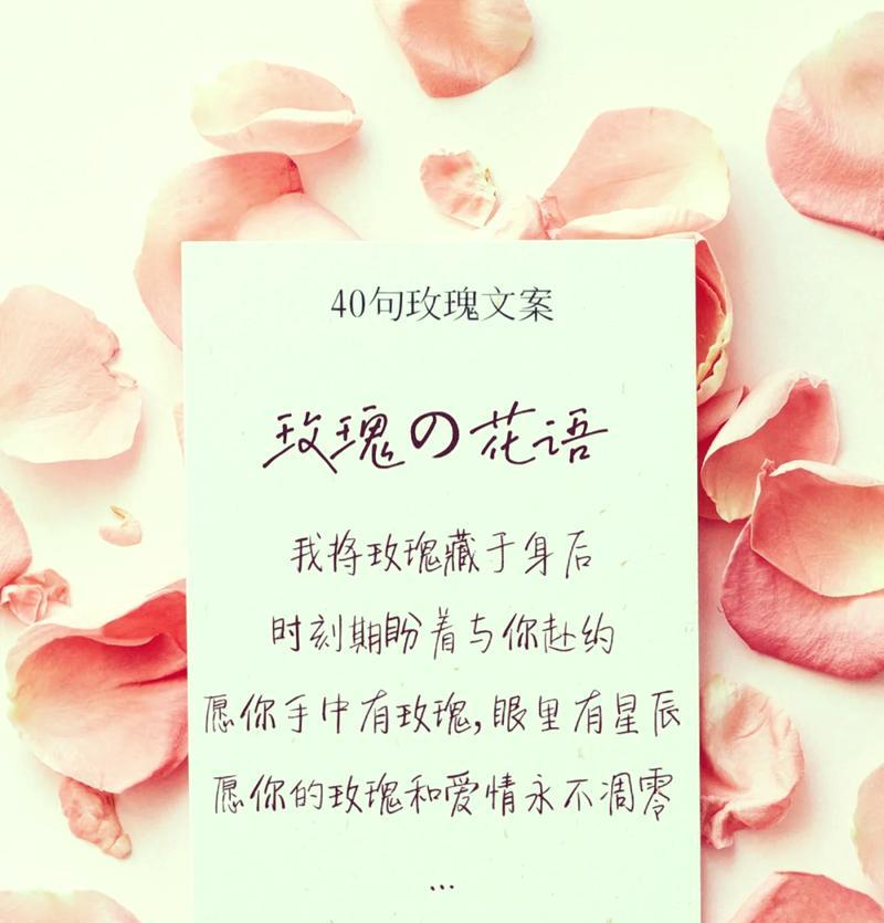 好看却有毒的玫瑰花语是什么？这种花语有何含义？