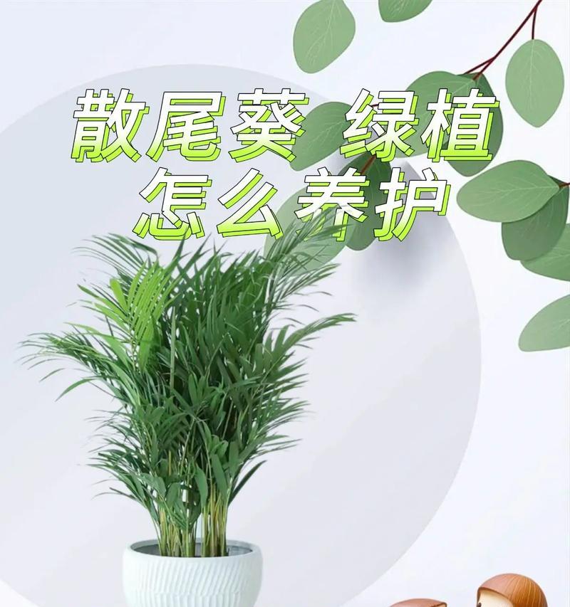椰子花茶组合的花语有何独特之处？