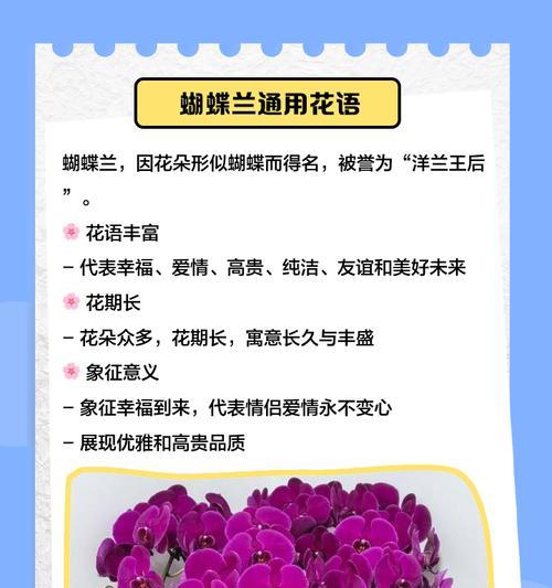 送升迁领导的花语是什么？升迁礼物的花语有哪些选择？