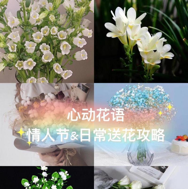 爱人送的花代表什么花语？