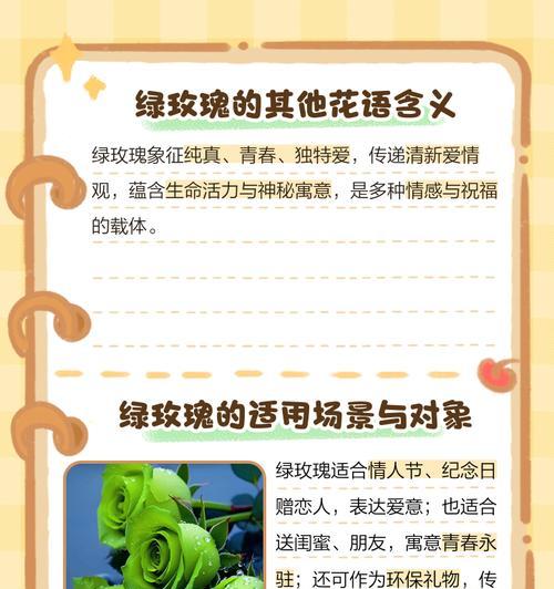 四年纪念日应该送哪种玫瑰花？它在花语中意味着什么？