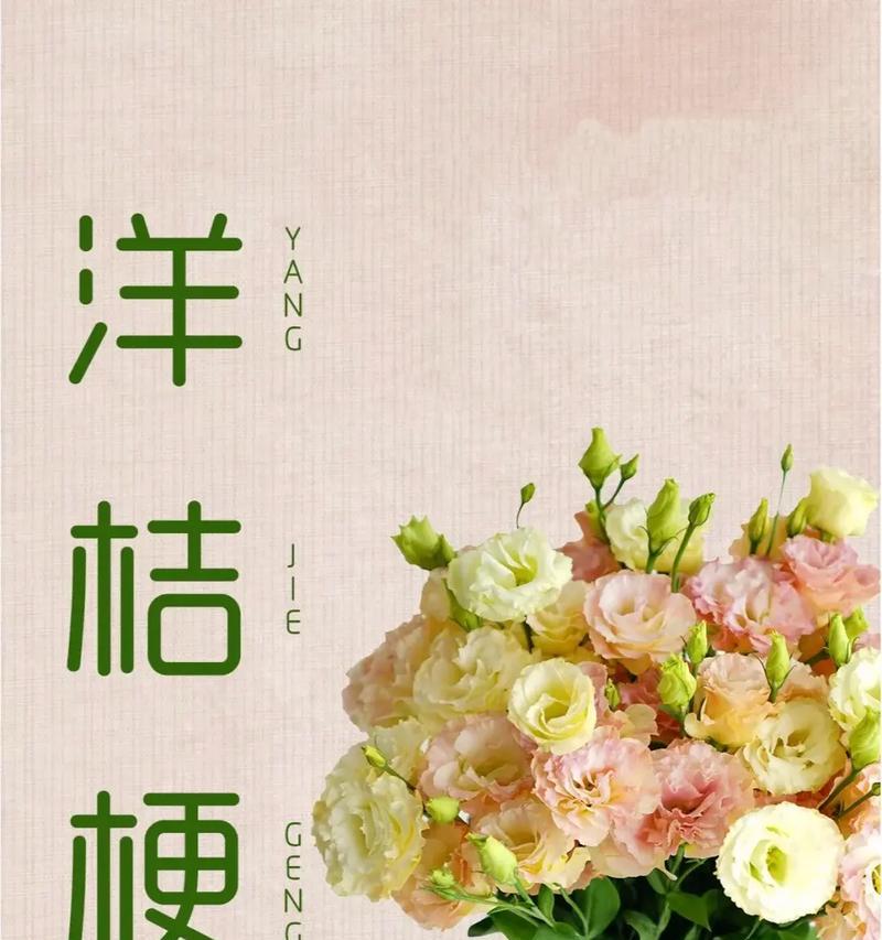 白桔梗气球的花语有何含义？