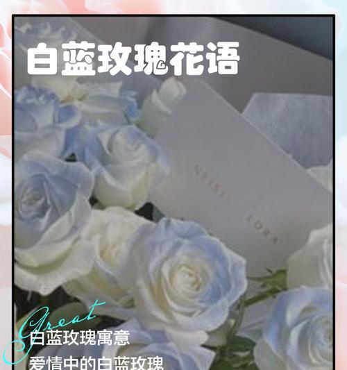 蓝玫瑰和绣球的花语寓意是什么？