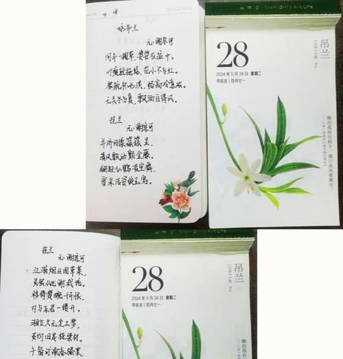 高冷的花语有哪些？它们代表什么意思？