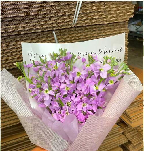 紫罗兰花颜色的花语代表什么？