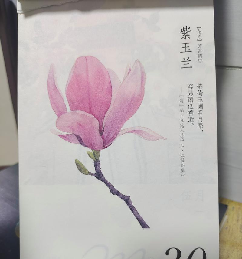 六月三十号对应的花语是什么？
