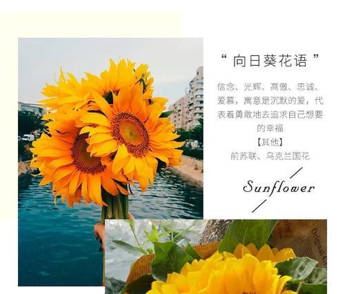 六月三十号对应的花语是什么？
