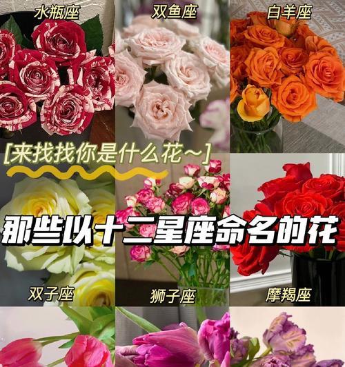 十二星座花语少女的含义是什么？