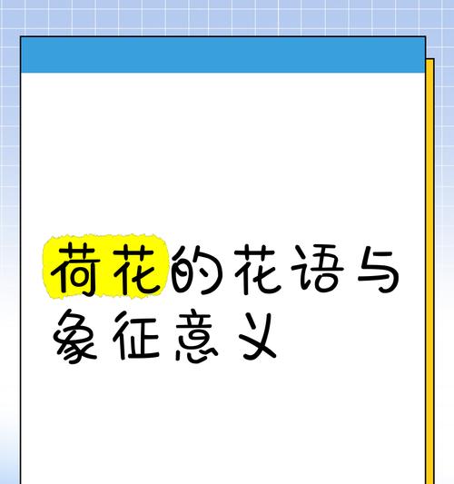 荷花花语蕴含哪些意义？