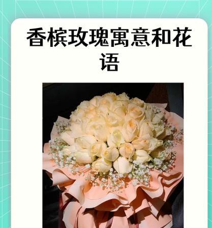 9朵奶油杯玫瑰的寓意是什么？9朵奶油杯玫瑰花语是什么？