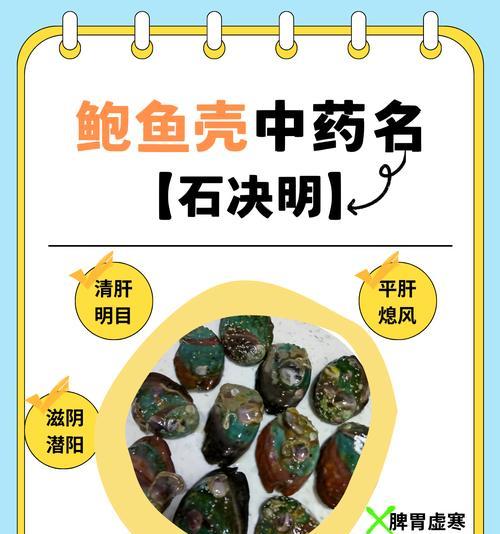 鲍鱼的花语代表了什么？