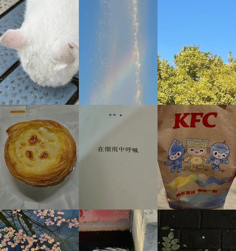 七零八碎的花语代表什么？七零八碎的寓意有哪些？