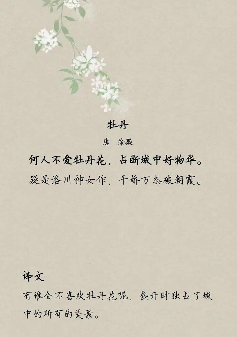牡丹花盛开的寓意是什么？
