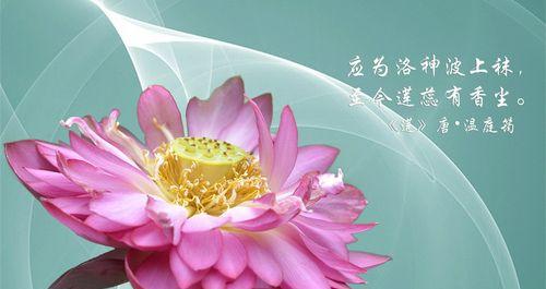 花语呢喃口令能带来什么效果？