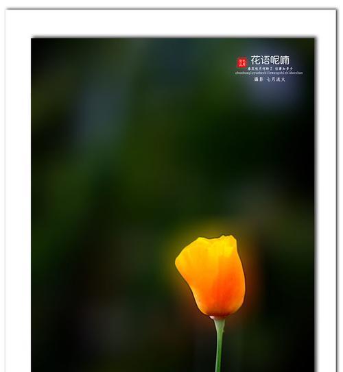 花语呢喃口令能带来什么效果？