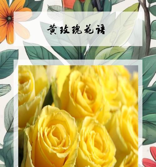 广西的爱情花语有哪些？它们各自代表什么情感？