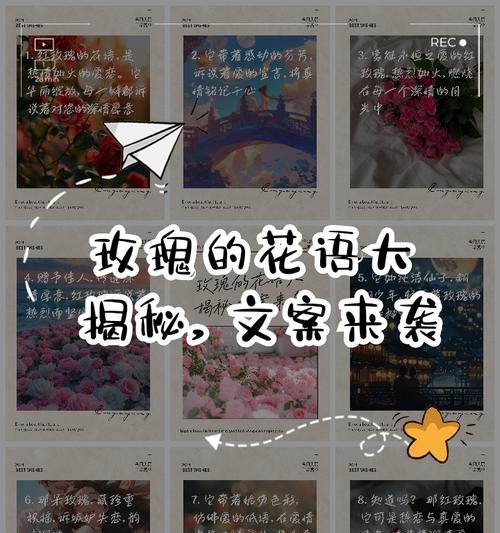 网红爆火玫瑰花语背后有何深意？
