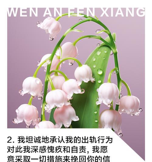 哪种花代表了道歉和原谅？