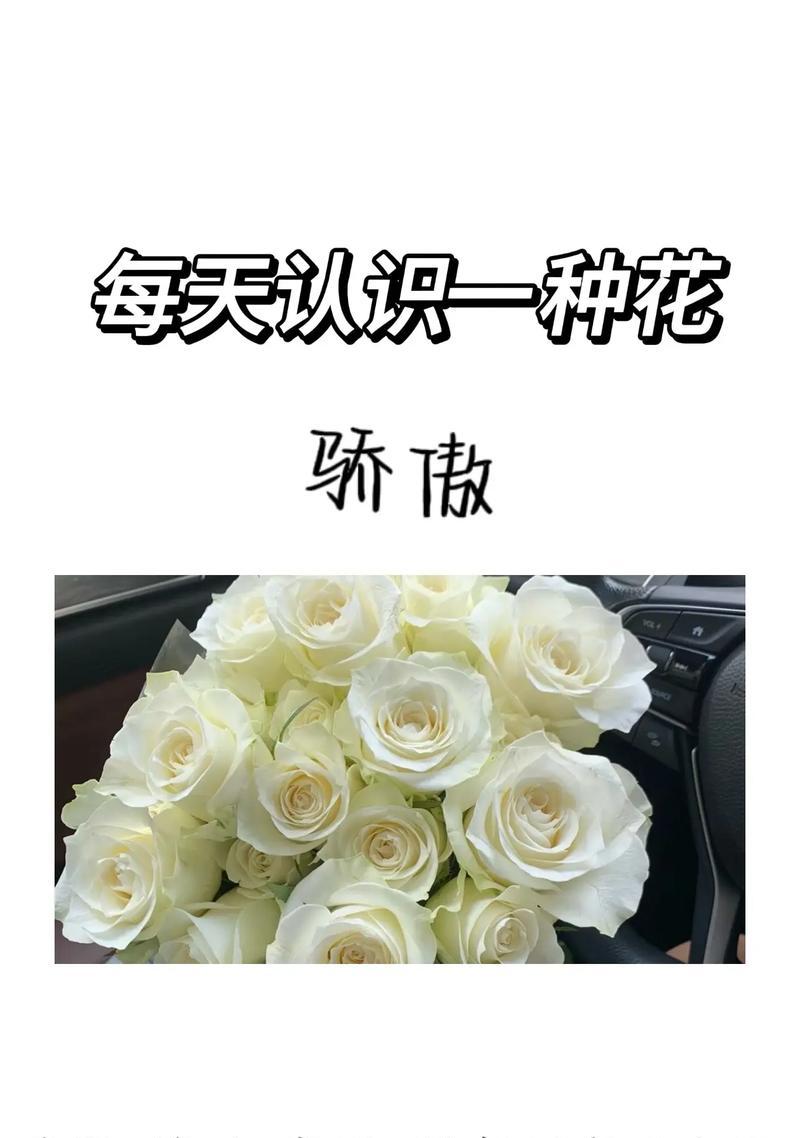 在英国送玫瑰花有何含义？英国文化中玫瑰花代表什么？